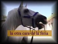 Huge white horse having horse sex with hot girl